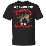All I Want For Valentine Is A Leonberger Dog Pet Lover Matching Shirts For Couples Girl Women Personalized Valentine T-Shirt - Macnystore