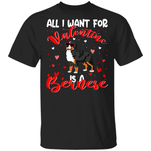 All I Want For Valentine Is A Bernese Dog Pet Lover Matching Shirts For Couples Girl Women Personalized Valentine T-Shirt - Macnystore