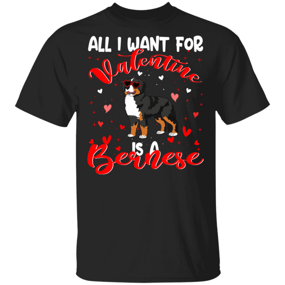 All I Want For Valentine Is A Bernese Dog Pet Lover Matching Shirts For Couples Girl Women Personalized Valentine T-Shirt - Macnystore
