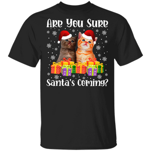 Christmas Cat Shirt Are You Sure Santa Is Coming Cute Christmas Waiting Santa Cat Kitty Lover Gifts T-Shirt - Macnystore