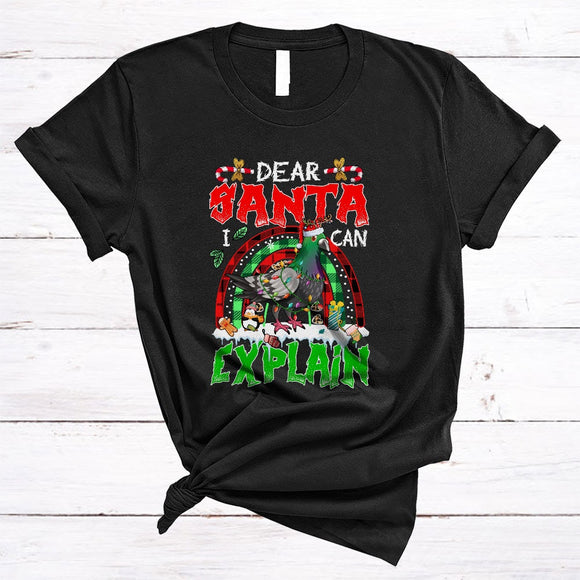 MacnyStore - Dear Santa I Can Explain, Cute Lovely Christmas Santa Pigeon Bird, X-mas Plaid Rainbow T-Shirt