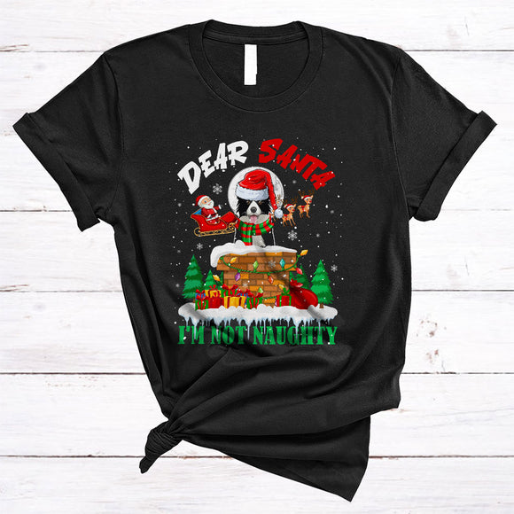 MacnyStore - Dear Santa I'm Not Naughty, Cheerful Christmas Santa Border Collie In Chimney, X-mas Sleigh T-Shirt