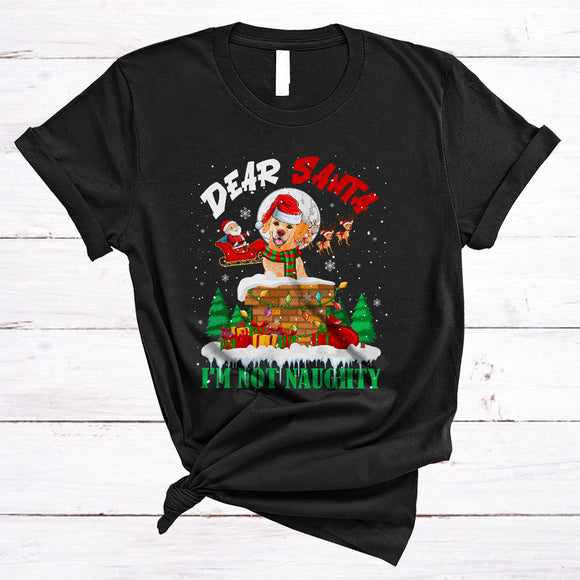 MacnyStore - I'm Not Naughty, Cheerful Christmas Santa Labrador Retriever In Chimney, X-mas Sleigh T-Shirt