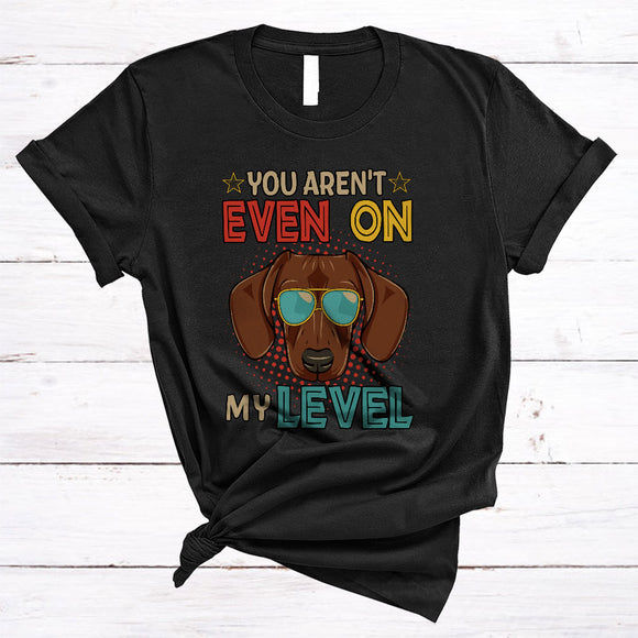MacnyStore - You Aren't Even On My Level, Humorous Vintage Dachshund Owner Lover, Matching Family Group T-Shirt